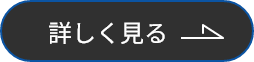 詳しく見るリンク
